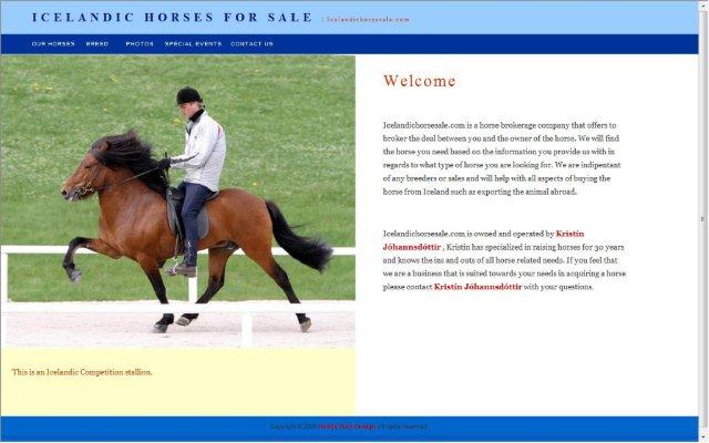 Icelandic Horse Sale